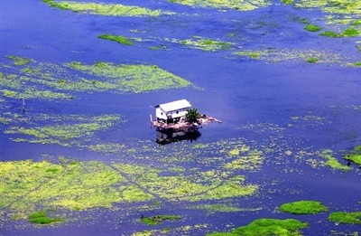 エルニーニョ現象、気候変動との関連は不明瞭  米研究