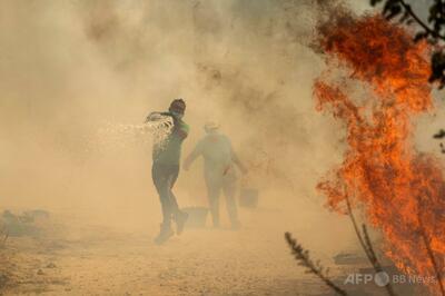 熱波による火災で初の死者、ポルトガル