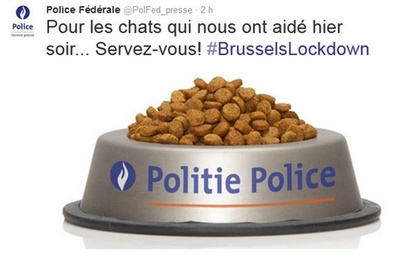 テロ捜査協力の猫画像、警察が「キャットフード」でお礼 ベルギー