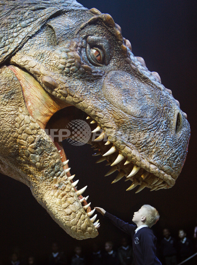 迫力満点 実物大の模型が動く恐竜ショー 写真10枚 国際ニュース Afpbb News