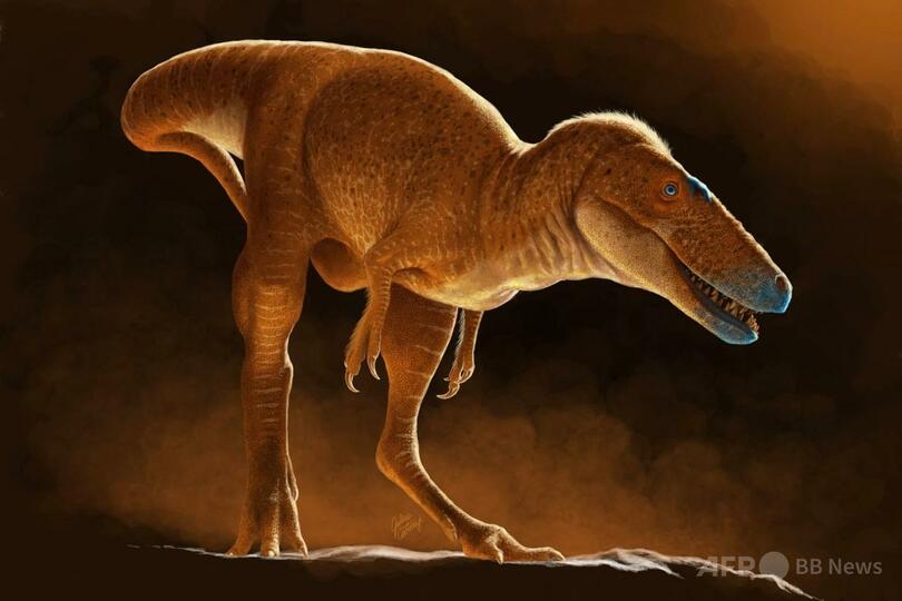 ティラノサウルスの新種の骨発見 モンゴルの研究所引き出しから