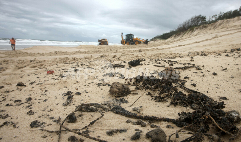 豪州沖で燃料・化学物質の流出事故、人気ビーチを災害地域に指定
