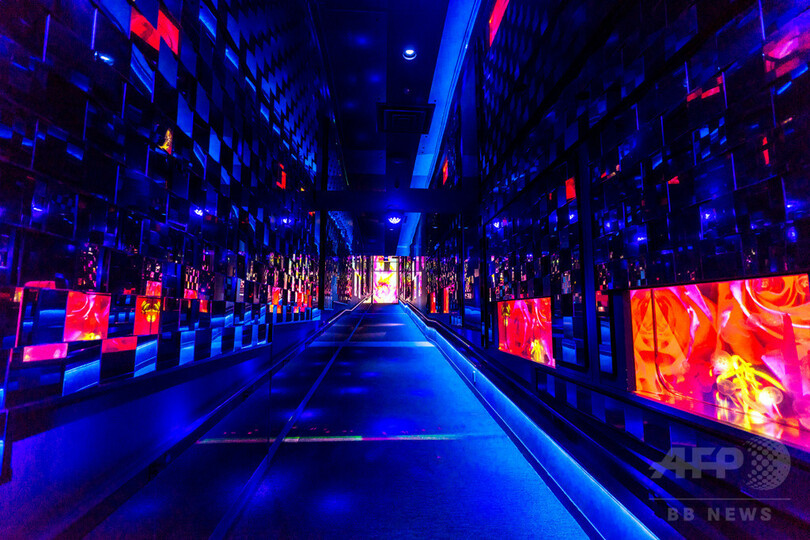 すみだ水族館 蜷川実花とクラゲの幻想的なコラボレーション 写真15枚 国際ニュース Afpbb News