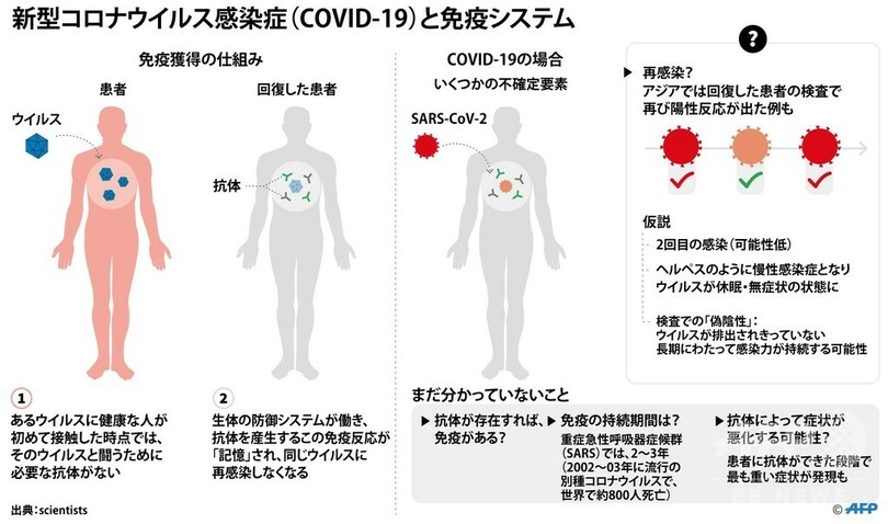 新型コロナ 回復後の免疫獲得はあるのか 専門家の意見 写真4枚 国際ニュース Afpbb News