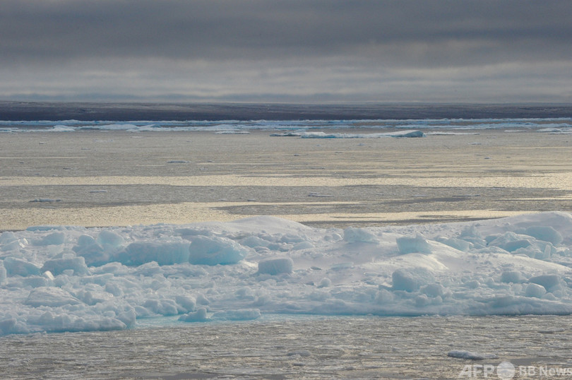 北極圏のクジラ 冬に南下せず 気候変動が回遊に影響か 写真1枚 国際ニュース Afpbb News