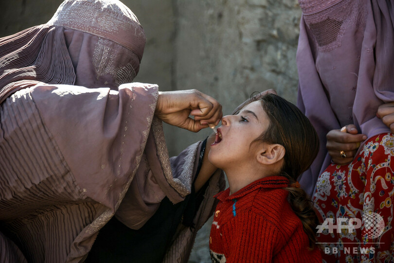 アフガニスタンでポリオ拡大の恐れ 新型コロナで予防接種中断