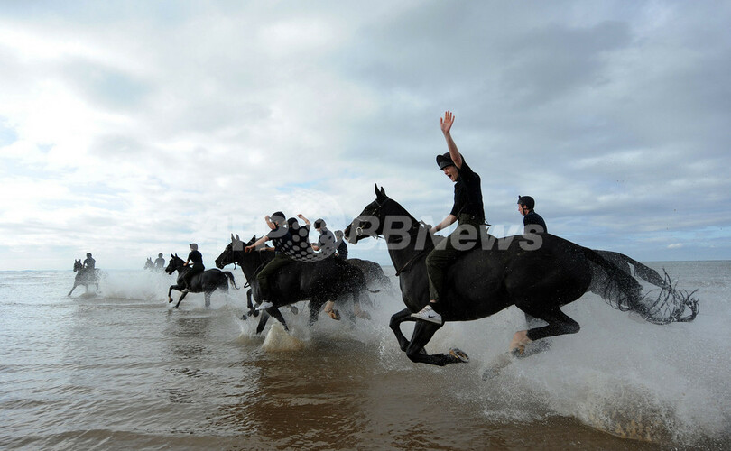 たまには息抜き 馬と騎馬砲兵が海遊び 写真6枚 国際ニュース Afpbb News