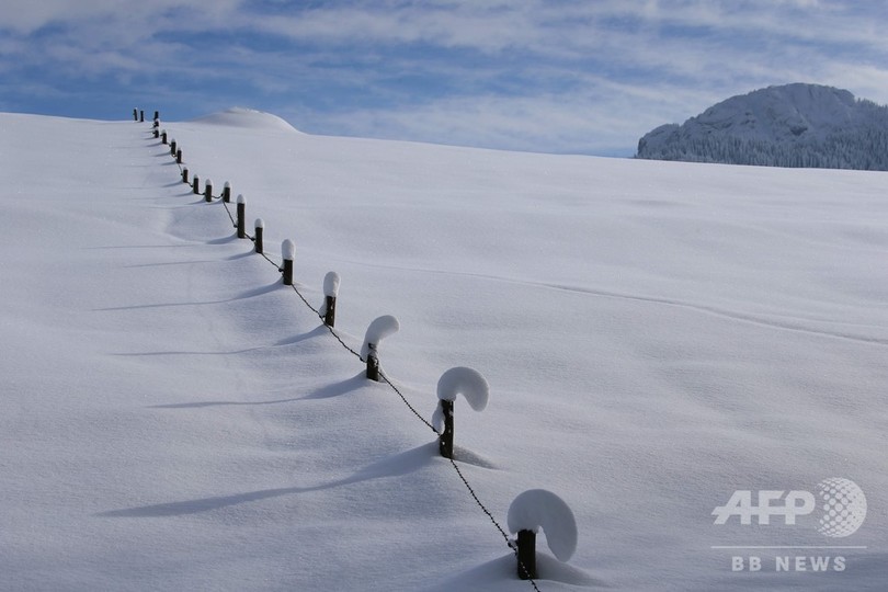 ドイツ各地で積雪 一面白銀の世界に 写真18枚 国際ニュース Afpbb News