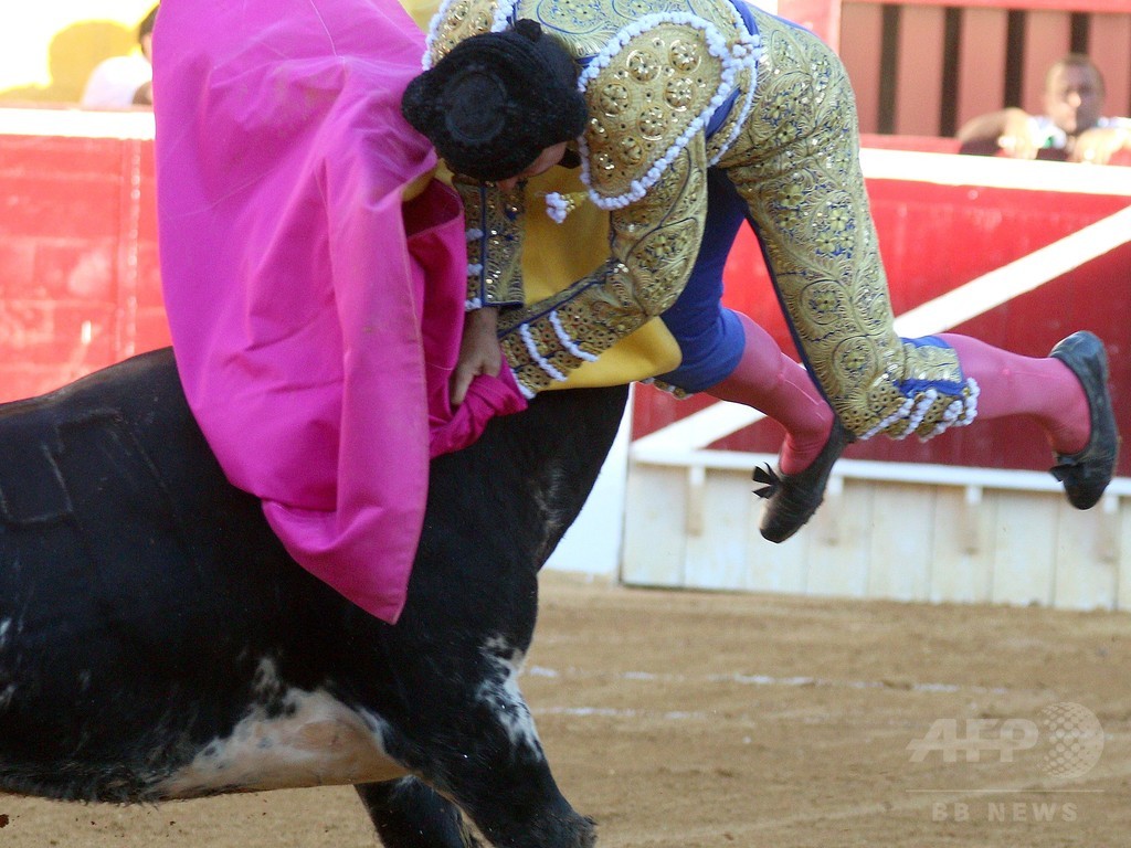 スペイン著名闘牛士、角で脚の付け根を突かれて重体 写真3枚 国際ニュース：AFPBB News