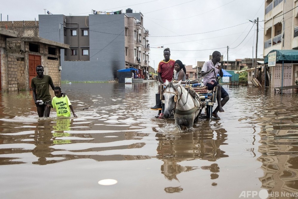 馬も人も水に漬かって移動…セネガル首都で洪水 写真14枚 国際ニュース