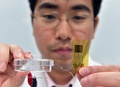 東京大学の染谷隆夫教授の研究室で、シートの体温計を掲げる同大学の横田知之特任助教
（2015年11月9日撮影）。(c)AFP/Yoshikazu TSUNO