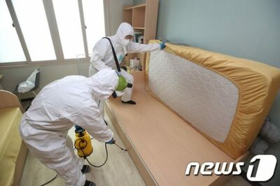 韓国各地で出没、南京虫の衝撃…ゴキブリ・蚊よりも恐れられる理由