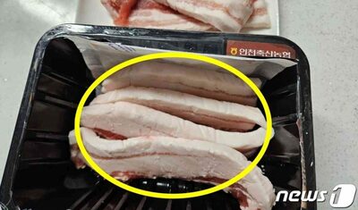 “脂身だけ”のサムギョプサルという衝撃…韓国版ふるさと納税の返礼品