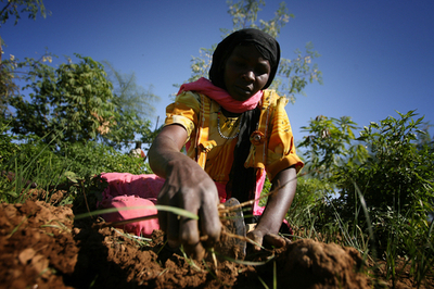 ダルフール紛争、チャドのガガ難民キャンプ