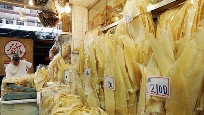 フカヒレ需要でサメが激減、オーストラリア調査