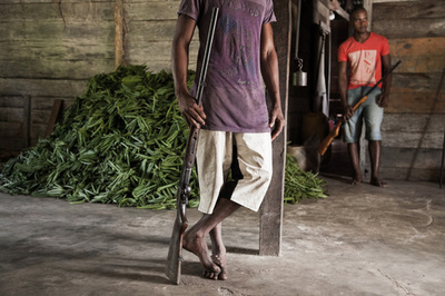 「バニラ景気」に沸くマダガスカルの熱狂と苦悩