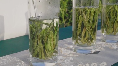 動画:無形文化遺産技術が生む緑茶の新たな楽しみ方 中国・黄山市