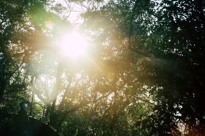 太陽光でコロナ不活性化、米政府が詳細公表