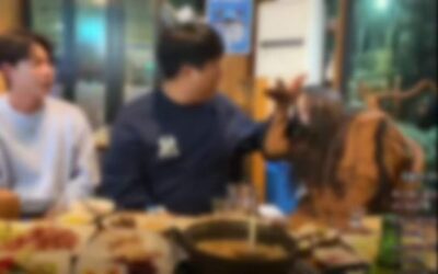 韓国・生配信中の暴力問題が拡大…プラットフォーム責任の強化議論、検閲との兼ね合いも課題