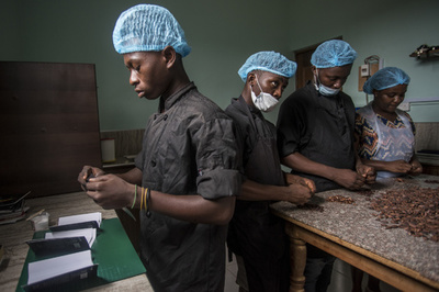 二大カカオ生産国、米チョコ製造大手2社の補償金逃れを非難