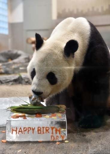 上野のパンダ「リーリー」9歳に