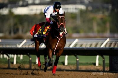 フォーエバーヤング 世界最高賞金サウジカップ制覇