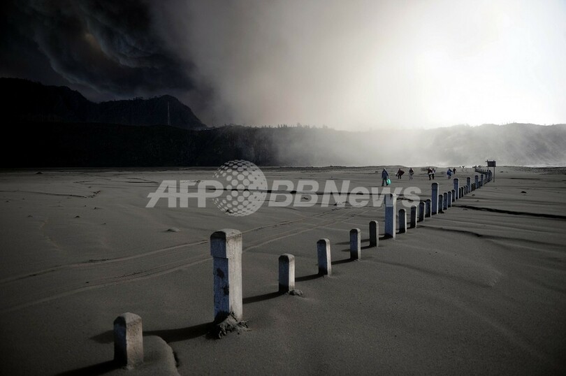 世界報道写真大賞、「耳と鼻をそぎ落とされたアフガン女性」に