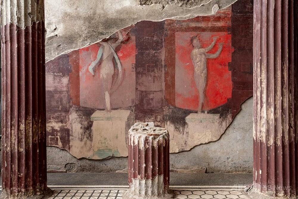 フローラ、1030x630 (古代ローマ都市で見つかったフレスコ画の複製) フローラ、1030x630 (古代ローマ都市で見つかったフレスコ画の複製)