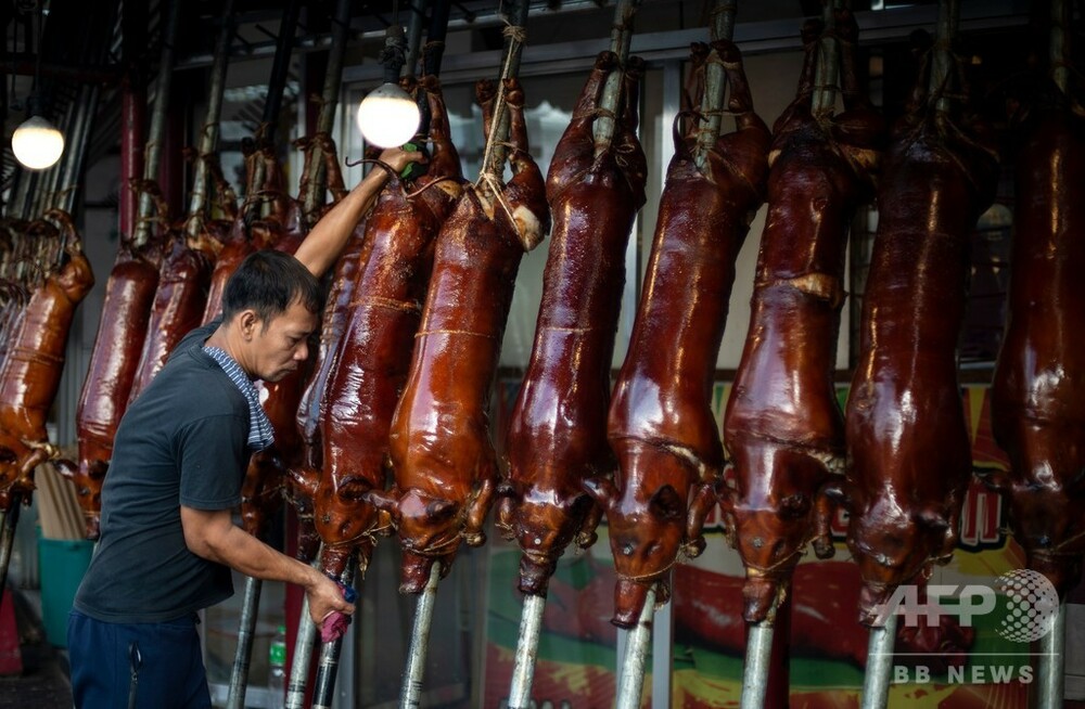 フィリピン名物の豚の丸焼き クリスマス控えピークに 写真34枚 国際ニュース Afpbb News