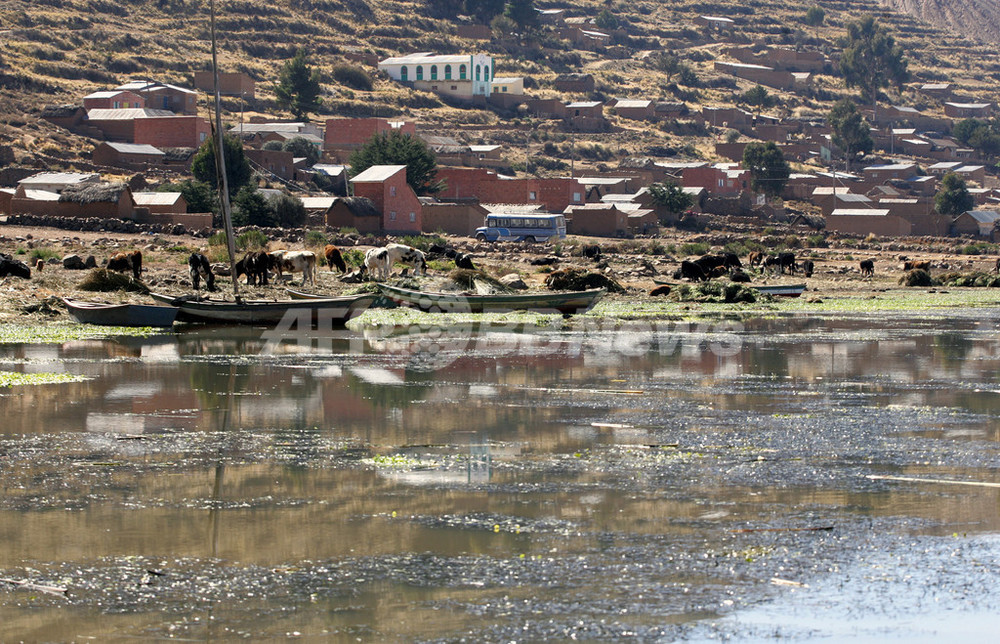 アンデスのチチカカ湖で進む汚染 写真5枚 国際ニュース：AFPBB News