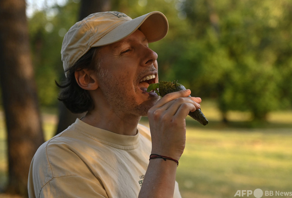 米で発生の17年ゼミ 甲殻類アレルギーの人は食べないで Fda 写真4枚 国際ニュース Afpbb News