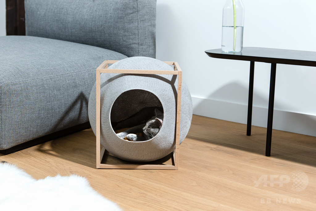 パリ発「MEYOU」日本初上陸、おしゃれなキャットハウス