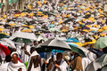 大巡礼の最中に傘で暑さをしのぐ巡礼者（2024年6月15日撮影）。(c)FADEL SENNA / AFP