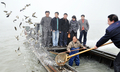 中国東部・江蘇（Jiangsu）省蘇州（Suzhou）の太湖（Taihu Lake）で、産業排水などのせいで大量発生した藻を除去するために放流される魚（2009年2月23日撮影）。(c)AFP