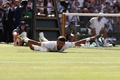 テニス、ウィンブルドン選手権、男子シングルス決勝。優勝を喜ぶノバク・ジョコビッチ（2022年7月10日撮影）。(c)Adrian DENNIS / AFP