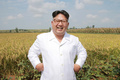 軍部隊の農場を視察する金正恩朝鮮労働党委員長。朝鮮中央通信配信（2016年9月13日配信、撮影日不明）。(c)AFP PHOTO/KCNA