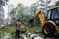 インド・ムンバイで、豪雨で倒れた木を撤去する作業員（2021年5月17日撮影）。(c)Sujit Jaiswal / AFP