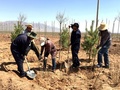 緑化の植林作業（2016年4月12日撮影、資料写真）。(c)CNS/成林