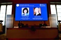 2020年のノーベル化学賞受賞が決まった、フランス人女性のエマニュエル・シャルパンティエ氏（左）と、米国人女性のジェニファー・ダウドナ氏。スウェーデン・ストックホルムのスウェーデン王立科学アカデミーで（2020年10月7日撮影）。(c)Henrik MONTGOMERY / various sources / AFP