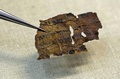 死海文書の断片を取り扱うイスラエル考古学庁職員。エルサレムで（2020年6月2日撮影）。(c)MENAHEM KAHANA / AFP