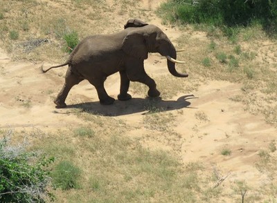 img_ad187dd3091a4f59ae020629fd