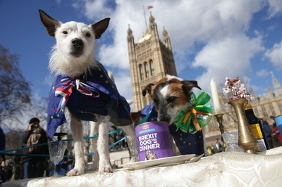 「ブレグジットはまずい」、犬も一緒に反離脱キャンペーン ロンドン