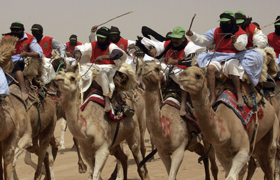 西サハラのラクダレース