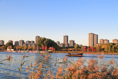 北京の副都心で進む緑化 温室効果ガス削減「3060計画」に突き進む中国