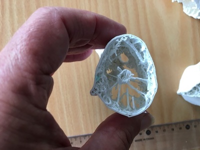 翼竜の長い首、支えたのは「自転車スポーク」様の骨