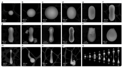 中国人科学者、月表面の堆積物から天然ガラス繊維を発見
