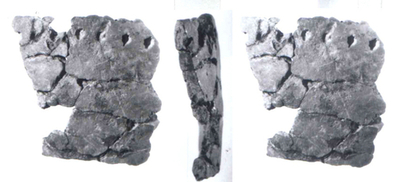 中国で世界最古の陶器片を発見、2万年前