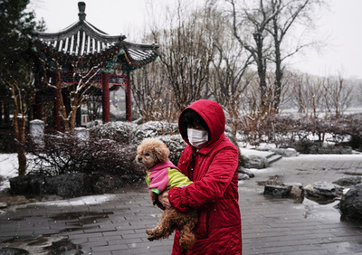 新型コロナウイルス肺炎でペットも受難、「捨てないで、殺さないで」と専門家