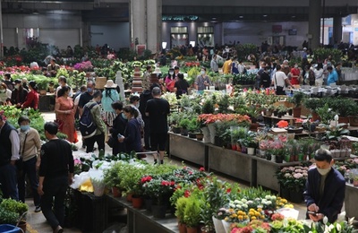 活気づく生花ビジネス 中国・昆明市