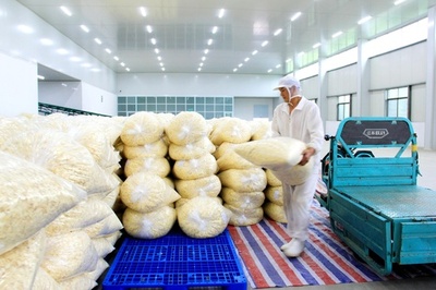 日本にも輸出の脱水野菜、加工工場が貧困解決の一助に 安徽省